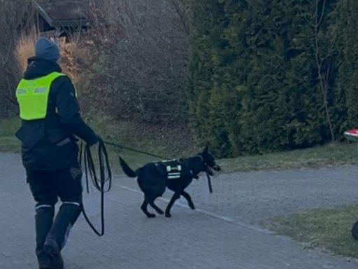 Ein Mensch mit Warnweste führt einen Hund an der Leine auf einem Weg.